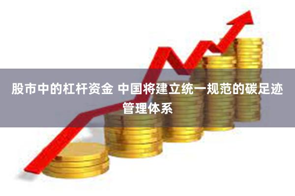 股市中的杠杆资金 中国将建立统一规范的碳足迹管理体系