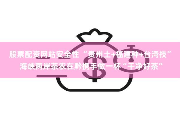 股票配资网站安全性 “贵州土+福建种+台湾技” 海峡两岸茶农在黔携手做一杯“干净好茶”