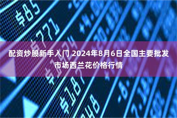 配资炒股新手入门 2024年8月6日全国主要批发市场西兰花价格行情