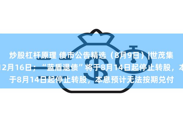 炒股杠杆原理 债市公告精选（8月9日）|世茂集团呈请的聆讯延期至12月16日；“蓝盾退债”将于8月14日起停止转股，本息预计无法按期兑付