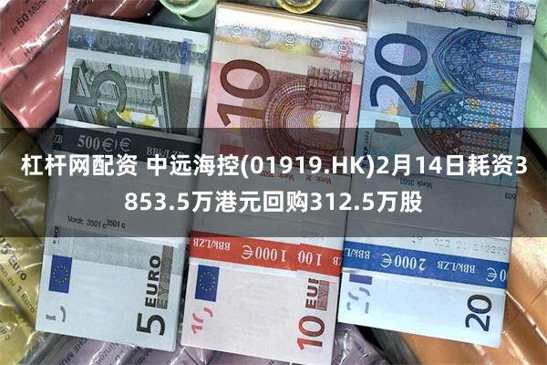 杠杆网配资 中远海控(01919.HK)2月14日耗资3853.5万港元回购312.5万股