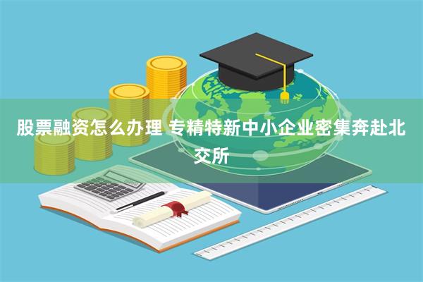 股票融资怎么办理 专精特新中小企业密集奔赴北交所