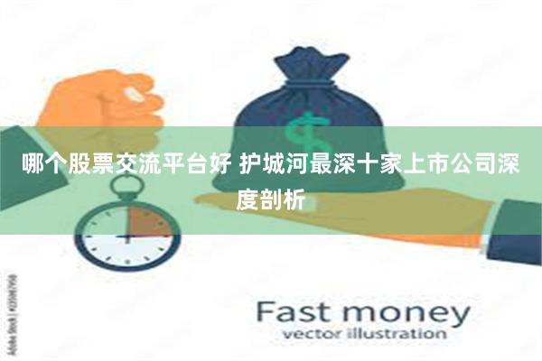 哪个股票交流平台好 护城河最深十家上市公司深度剖析