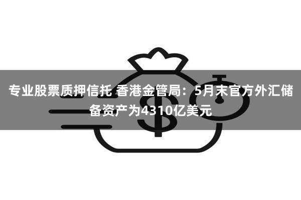 专业股票质押信托 香港金管局：5月末官方外汇储备资产为4310亿美元
