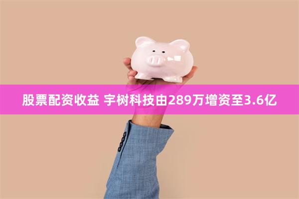 股票配资收益 宇树科技由289万增资至3.6亿