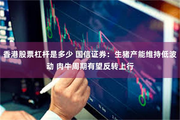 香港股票杠杆是多少 国信证券：生猪产能维持低波动 肉牛周期有望反转上行