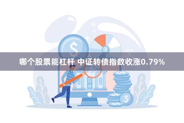 哪个股票能杠杆 中证转债指数收涨0.79%