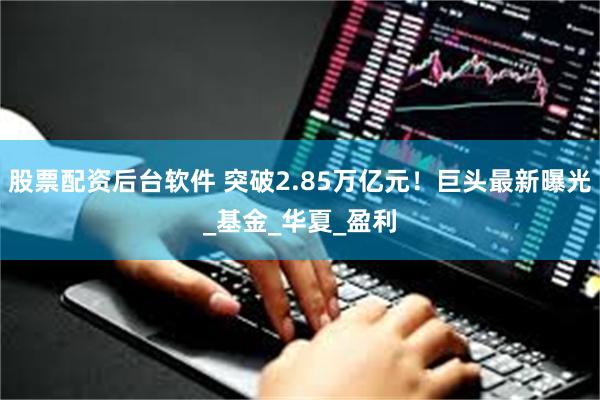 股票配资后台软件 突破2.85万亿元！巨头最新曝光_基金_华夏_盈利